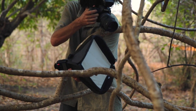 Aventures en terre animale - Le Caméléon de Madagascar - Do filme