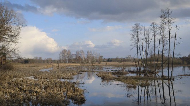 Aventures en terre animale - Le Bison de Pologne - Kuvat elokuvasta