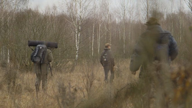 Aventures en terre animale - Le Bison de Pologne - Filmfotók