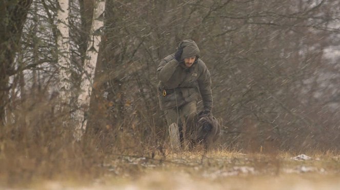 Aventures en terre animale - Le Bison de Pologne - Filmfotók - Guillaume Mazille