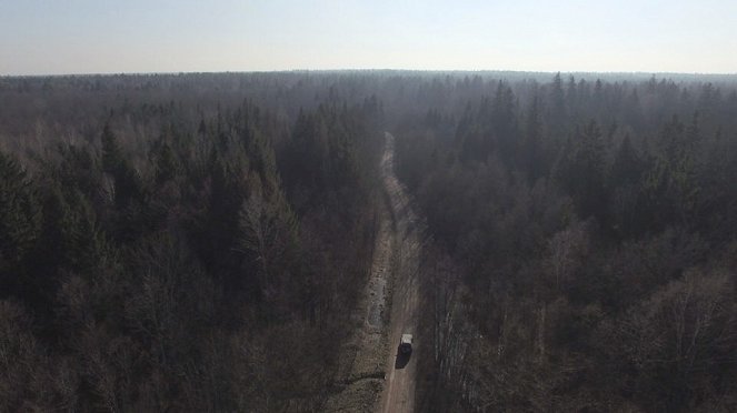 Aventures en terre animale - Le Bison de Pologne - Filmfotók