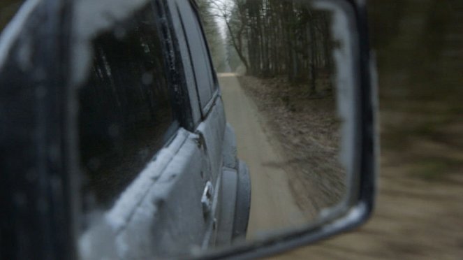 Aventures en terre animale - Le Bison de Pologne - Photos