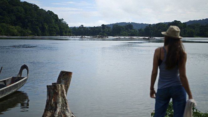 Au coeur de la vie sauvage - En Guyane - Z filmu