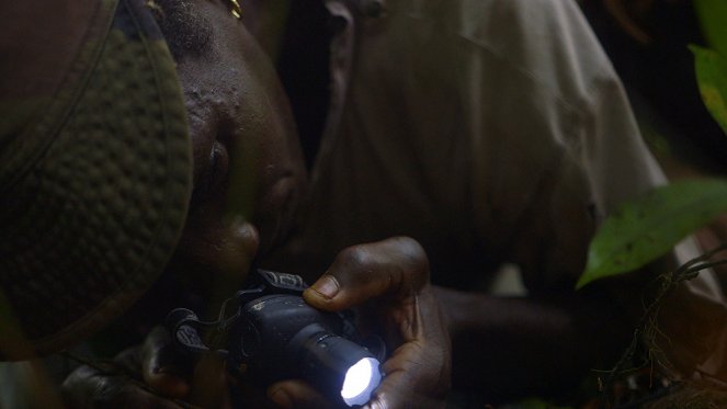 Au coeur de la vie sauvage - En Guyane - Filmfotos