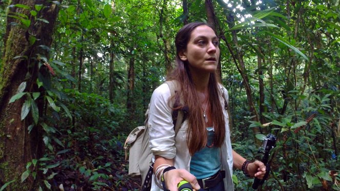 Au coeur de la vie sauvage - En Guyane - De la película - Caroline De Salvo