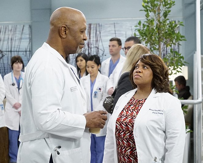 Anatomía de Grey - A Diagnosis - De la película - James Pickens Jr., Chandra Wilson