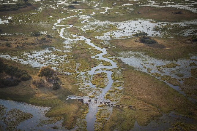Into the Okavango - Kuvat elokuvasta