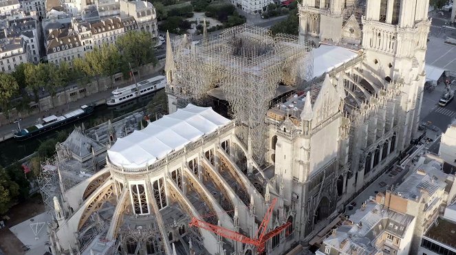 Die Retter von Notre Dame - Z filmu