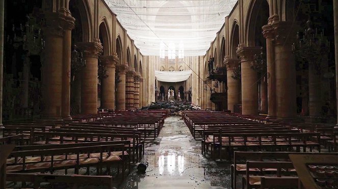 Die Retter von Notre Dame - Photos