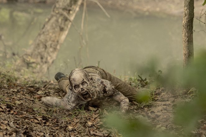 The Walking Dead - Nézd a virágokat - Filmfotók