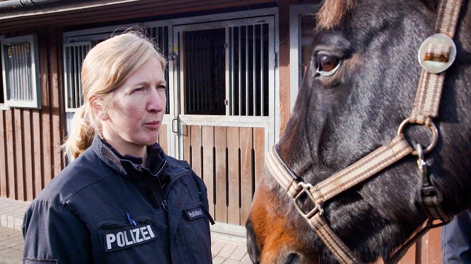 Polizeipferde im Einsatz - De la película