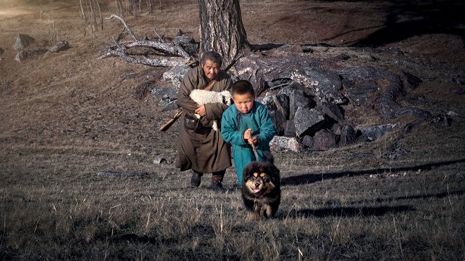 Man's First Friend - Photos