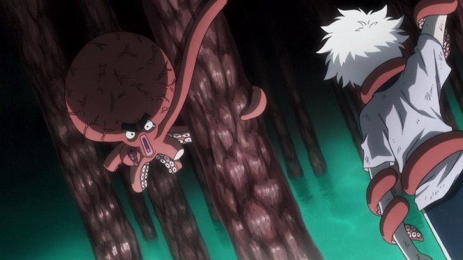 Hunter x Hunter - Tracking × And × Pursuit - Photos