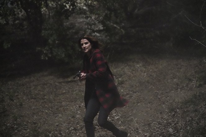 Stumptown - Auf der Flucht - Filmfotos - Cobie Smulders