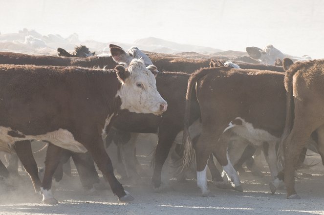 McLeodin tyttäret - Varjojen laakso - Kuvat elokuvasta