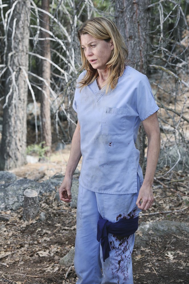 Grey's Anatomy - Die jungen Ärzte - Season 8 - Der Flug - Filmfotos