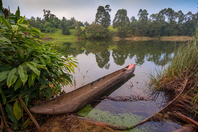Národní parky Ugandy - Filmfotók