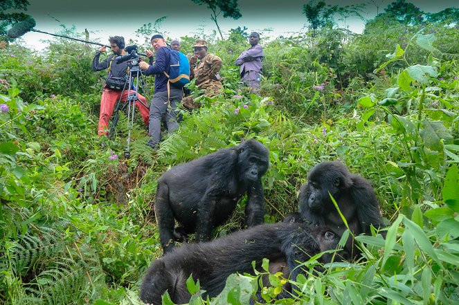 Národní parky Ugandy - Film