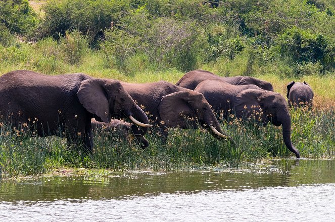 Národní parky Ugandy - Photos