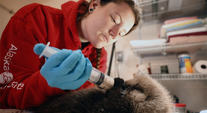 Alaska Animal Rescue - Kuvat elokuvasta