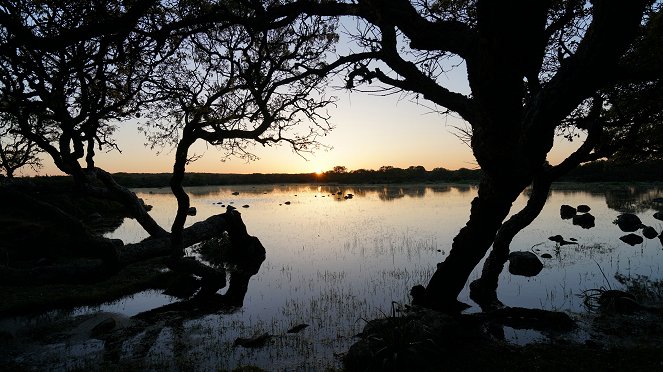 Horses in the Storm - Sardinia's Rocky Sanctuary - Photos