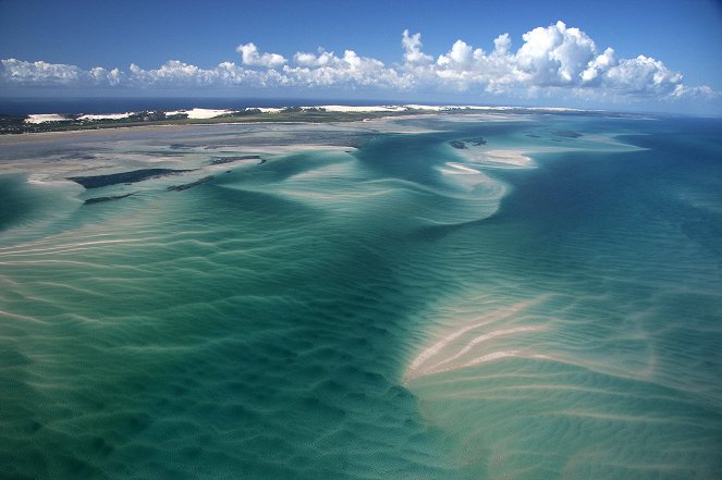 Africa - Cape - De la película