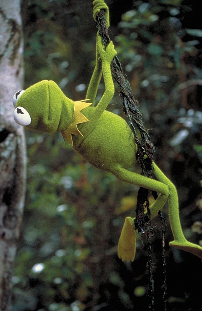 Kermit's Swamp Years - De la película