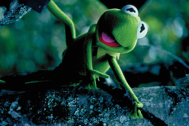 Kermit : Les années têtard - Film