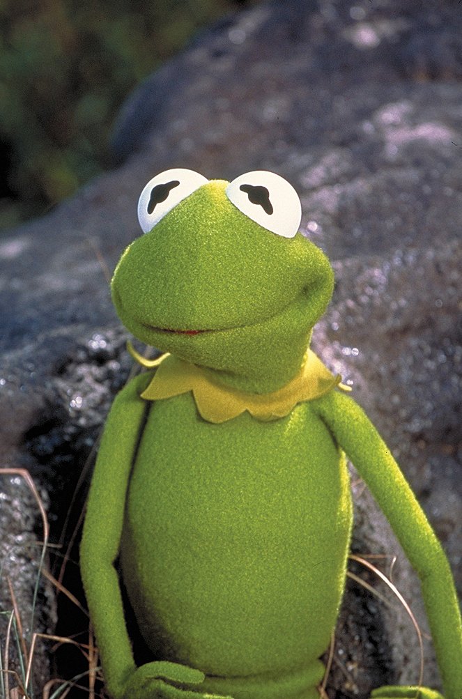 Kermit's Swamp Years - Z filmu