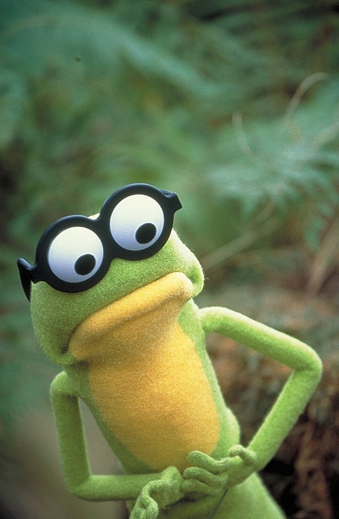 Kermit's Swamp Years - Filmfotos