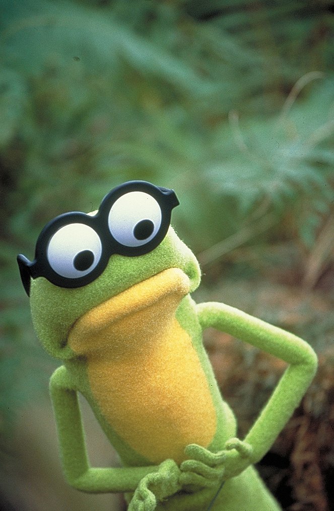 Kermit's Swamp Years - Photos