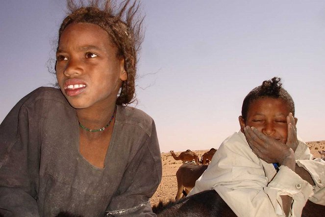 Les Nouveaux Explorateurs - Nomade’s Land : Les Touaregs du Niger - Van film