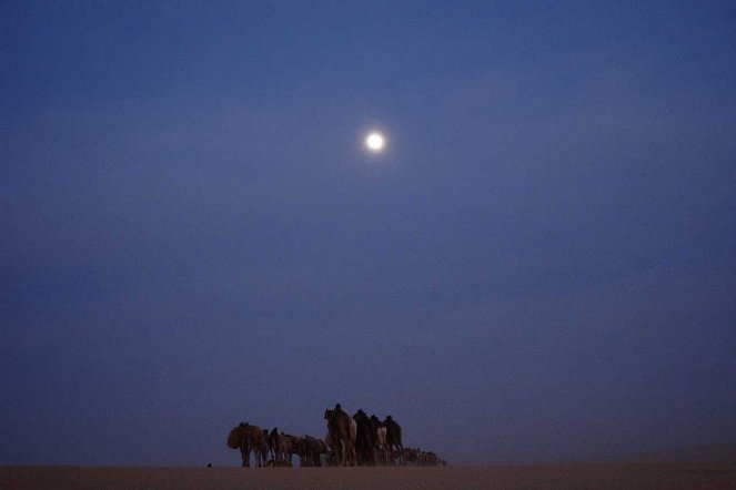 Les Nouveaux Explorateurs - Nomade’s Land : Les Touaregs du Niger - Do filme