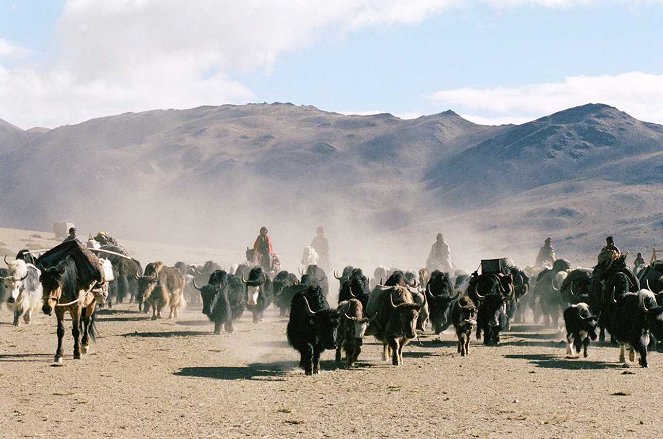 Auf Entdeckungsreise - Nomade’s Land : Les Changtangs du Ladakh - Filmfotos