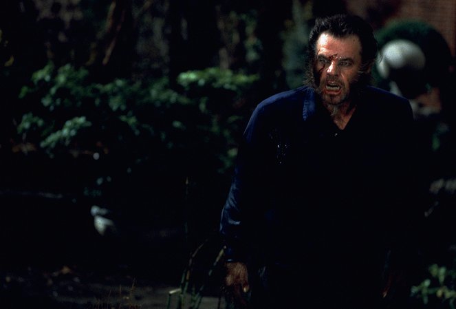 Wolf - Filmfotos - Jack Nicholson
