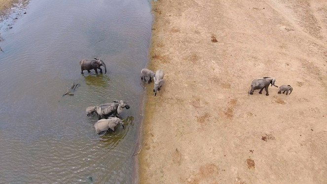 Massiivinen Afrikka - Luangwan laakso - Kuvat elokuvasta