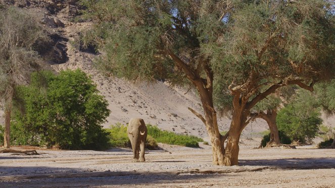 Massiivinen Afrikka - Namibin autiomaa - Kuvat elokuvasta
