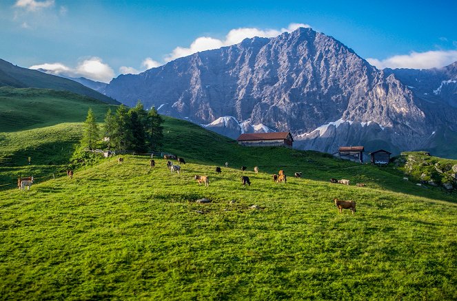 Naturparadiese mit Zukunft - Schweiz – Einsatz für die Alpenwiesen - Filmfotos