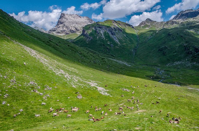 Paradis naturels retrouvés - Suisse, le renouveau des alpages - De la película