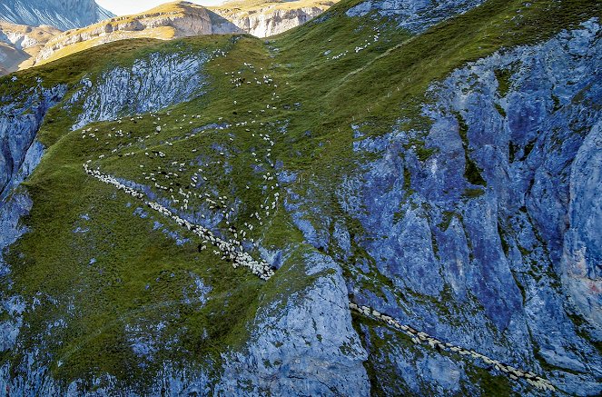 Paradis naturels retrouvés - Suisse, le renouveau des alpages - De la película