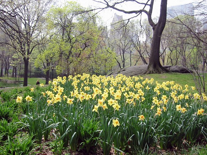 Universum: Central Park - Das Herz Manhattans - Filmfotos