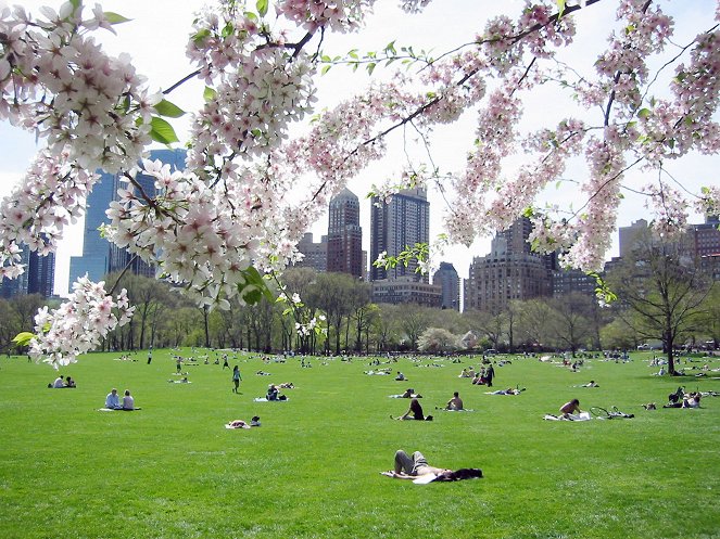 Central Park - Kuvat elokuvasta
