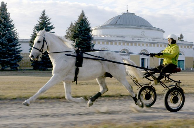 Russlands Pferde - Traber und Traditionen - Photos