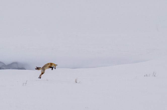 Impozantný Yellowstone - Oheň a ľad - Z filmu