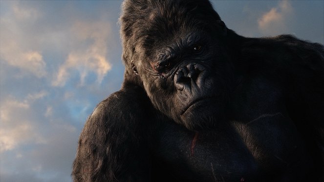 King Kong - Filmfotos