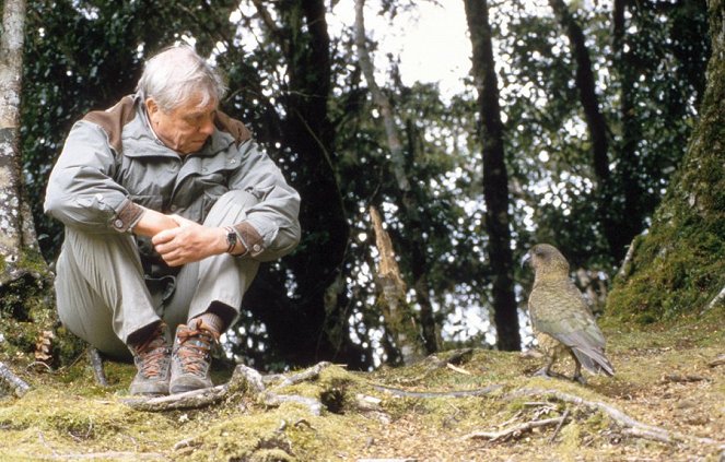 The Life of Birds - Van film - David Attenborough
