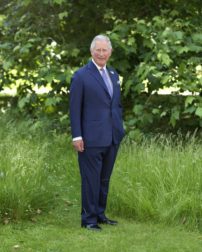 Prince, Son and Heir: Charles at 70 - De la película - Carlos III del Reino Unido