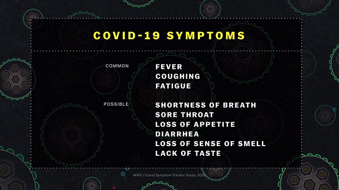 El coronavirus, en pocas palabras - De la película