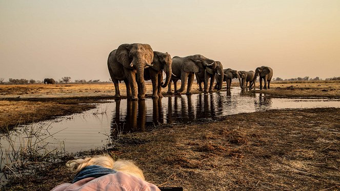 Okavango: Az álmok folyója - Forgatási fotók