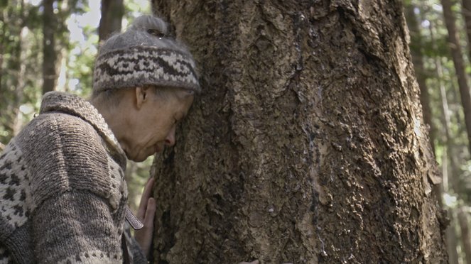 Natura - Fűben-fában orvosság - Filmfotók